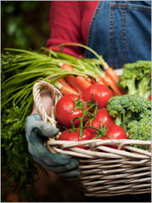 Celebration of the Harvest: Sukkot Chesed Mission