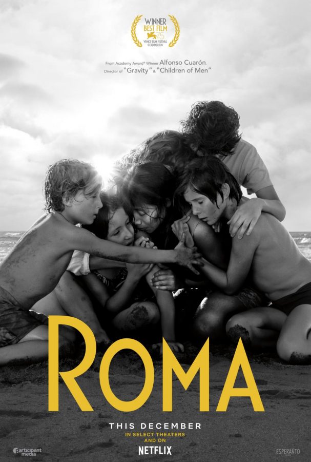 Roma: A Meticulous and Meditative Study