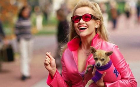 The Message Behind the Pink: Ramaz’s Legally Blonde Fall Musical