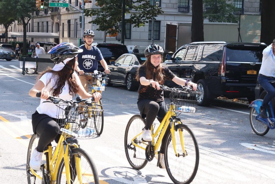 Many Central Park Trips? A Freshman Perspective