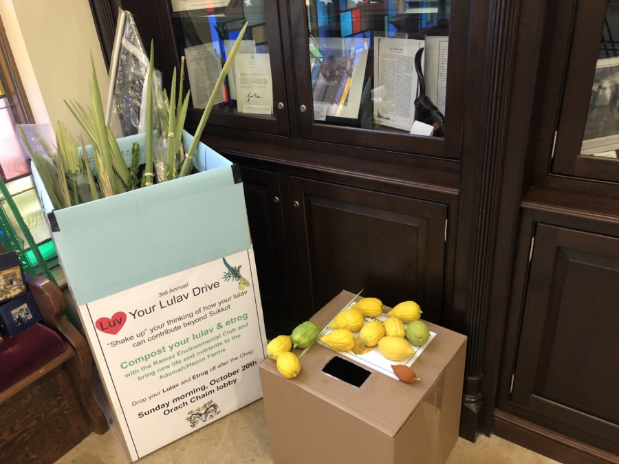 Lulav & Etrog Collection at Congregation Orach Chaim.