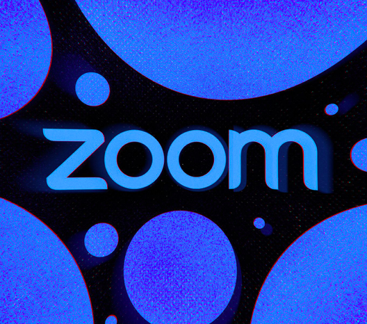 The Zoom Survey: What Did We Learn?