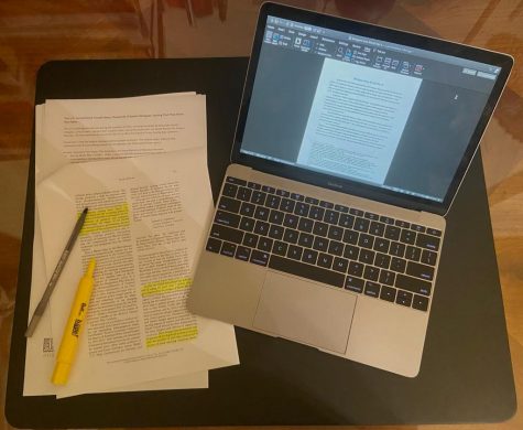 Anna Braun's workspace for her virtual internship
