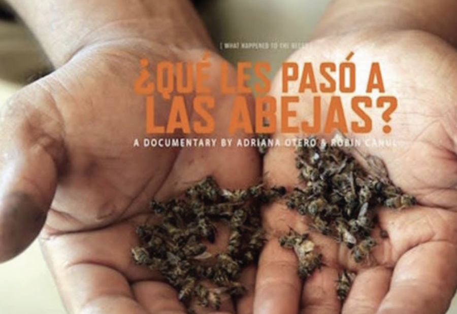 Latin American Culture Club’s Colloquium with Filmmaker of “What Happened to the Bees”