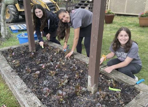 Seniors planting flowers at Camp Simcha during the Daniella Moffson Day of Service.